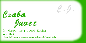csaba juvet business card